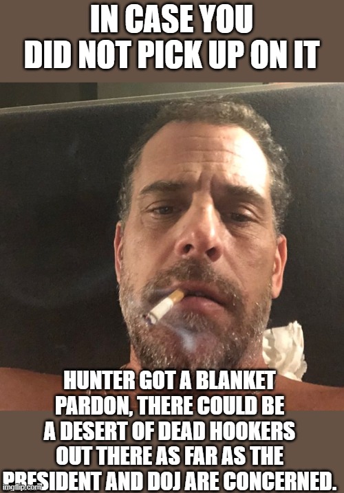 yep | IN CASE YOU DID NOT PICK UP ON IT; HUNTER GOT A BLANKET PARDON, THERE COULD BE A DESERT OF DEAD HOOKERS OUT THERE AS FAR AS THE PRESIDENT AND DOJ ARE CONCERNED. | image tagged in hunter biden | made w/ Imgflip meme maker