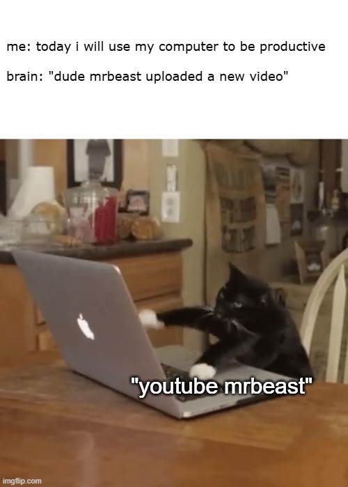 Lol | me: today i will use my computer to be productive
 
brain: "dude mrbeast uploaded a new video"; "youtube mrbeast" | image tagged in typing kitty,memes,meme,funny,cats,kitty | made w/ Imgflip meme maker