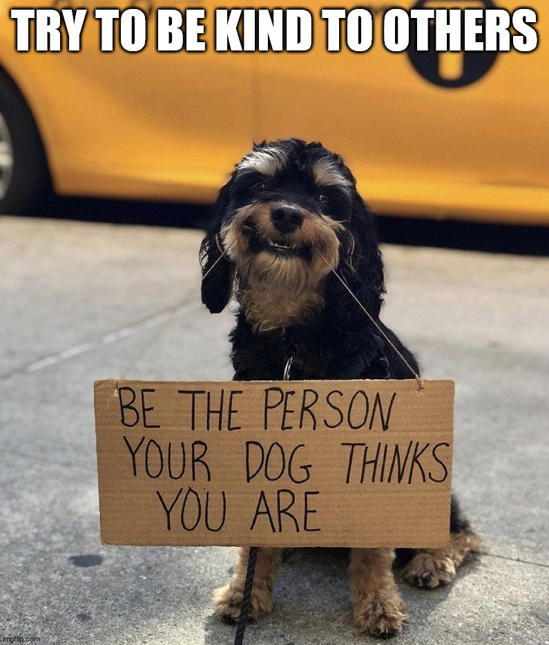 Be more like a dog | TRY TO BE KIND TO OTHERS | image tagged in dogs | made w/ Imgflip meme maker