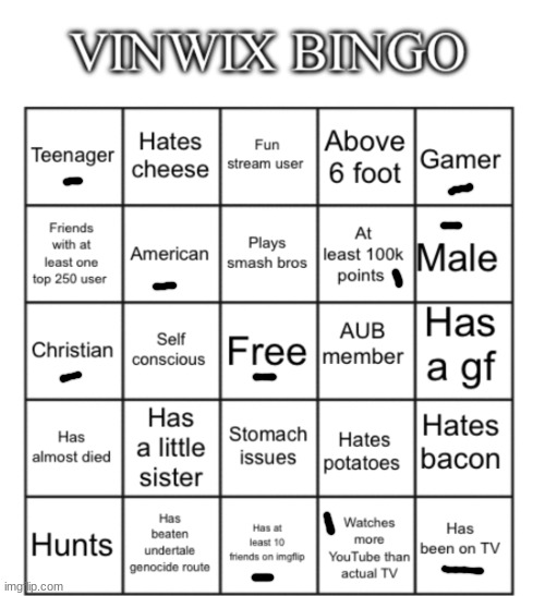 VinWix bingo | image tagged in vinwix bingo | made w/ Imgflip meme maker