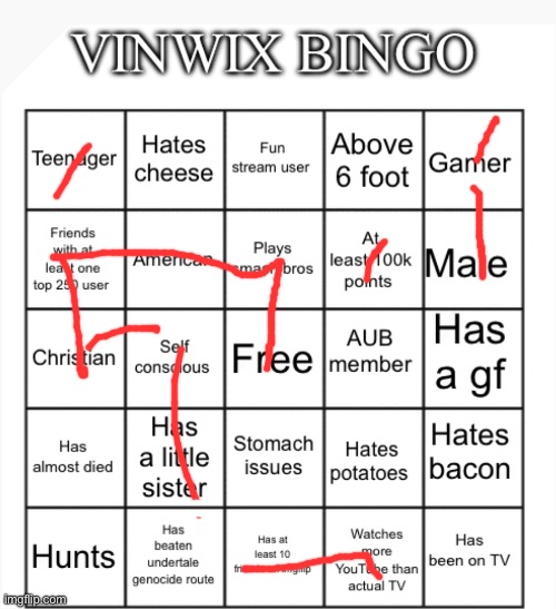 VinWix bingo | image tagged in vinwix bingo | made w/ Imgflip meme maker