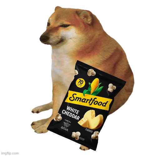 cheems | image tagged in cheems | made w/ Imgflip meme maker