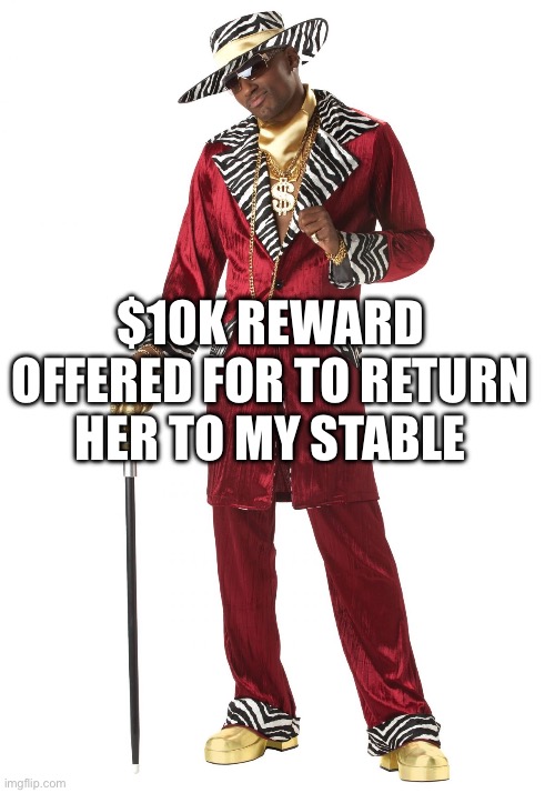 AOC’s boss after an extended absence from work | $10K REWARD OFFERED FOR TO RETURN HER TO MY STABLE | image tagged in pimp | made w/ Imgflip meme maker