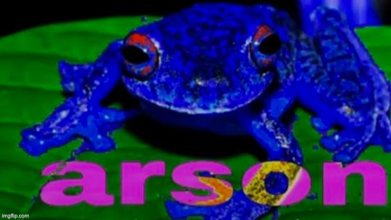 Arson Frog | image tagged in arson frog | made w/ Imgflip meme maker