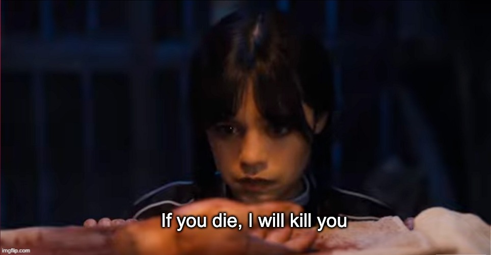 If you die, I will kill you | image tagged in if you die i will kill you | made w/ Imgflip meme maker