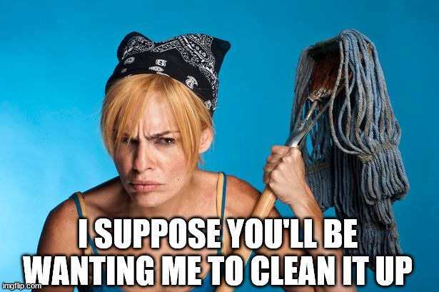 cangry cleaner women | I SUPPOSE YOU'LL BE WANTING ME TO CLEAN IT UP | image tagged in cangry cleaner women | made w/ Imgflip meme maker