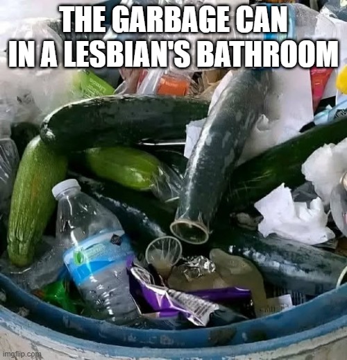 Dirty Garbage | THE GARBAGE CAN IN A LESBIAN'S BATHROOM | image tagged in sex jokes | made w/ Imgflip meme maker