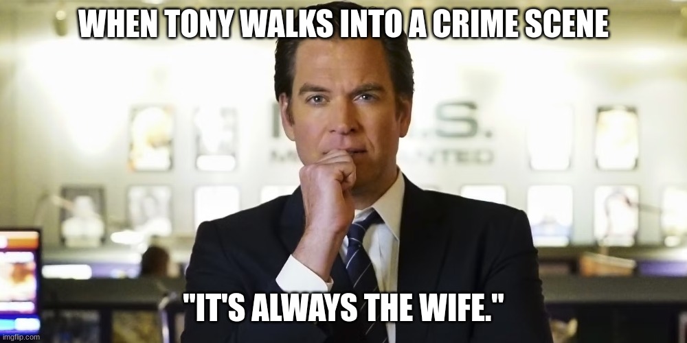 special agent tony dinozzo | WHEN TONY WALKS INTO A CRIME SCENE; "IT'S ALWAYS THE WIFE." | image tagged in special agent tony dinozzo | made w/ Imgflip meme maker