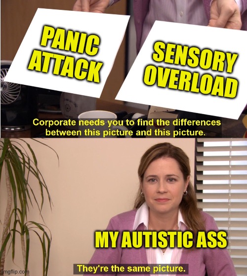 Interoception problems | PANIC ATTACK; SENSORY OVERLOAD; MY AUTISTIC ASS | image tagged in memes,they're the same picture,adhd,autism | made w/ Imgflip meme maker