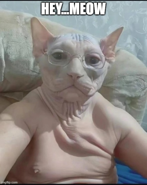 Cat Man | HEY...MEOW | image tagged in cursed image | made w/ Imgflip meme maker