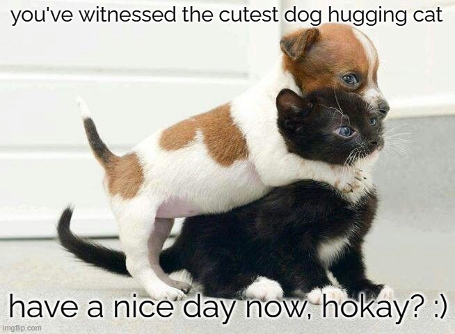 :) | you've witnessed the cutest dog hugging cat; have a nice day now, hokay? :) | image tagged in dog hugging cat,wholesome | made w/ Imgflip meme maker