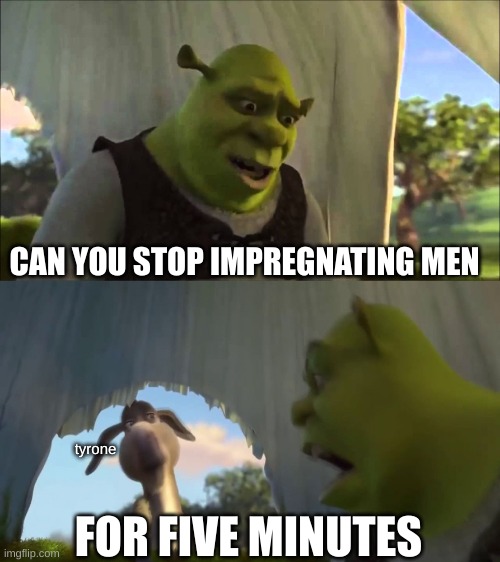 shrek five minutes | CAN YOU STOP IMPREGNATING MEN FOR FIVE MINUTES tyrone | image tagged in shrek five minutes | made w/ Imgflip meme maker