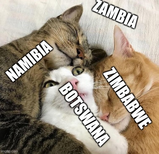 cat map | ZAMBIA; NAMIBIA; ZIMBABWE; BOTSWANA | image tagged in cat map | made w/ Imgflip meme maker