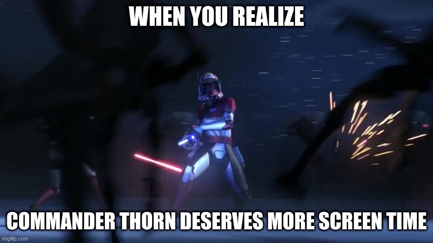 commander thorn | WHEN YOU REALIZE; COMMANDER THORN DESERVES MORE SCREEN TIME | image tagged in commander thorn | made w/ Imgflip meme maker