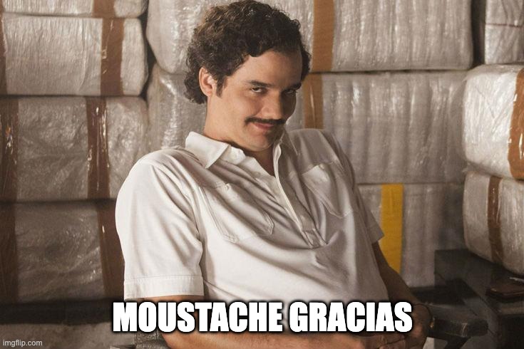 Moustache Gracias | MOUSTACHE GRACIAS | image tagged in moustache gracias | made w/ Imgflip meme maker