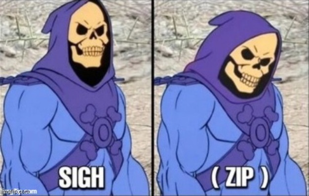 Skeletor Zip | image tagged in skeletor zip | made w/ Imgflip meme maker