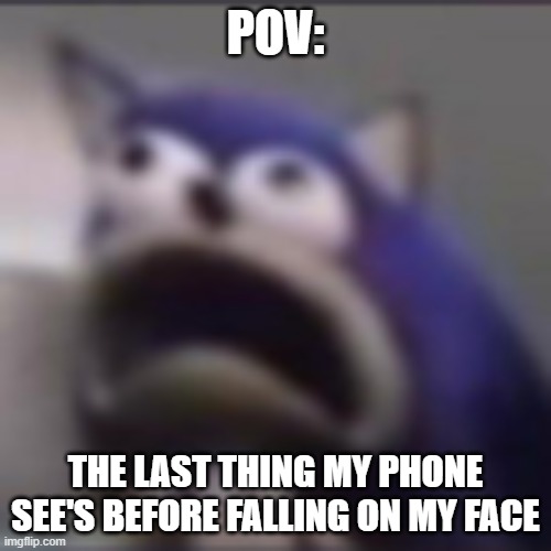 phone falls on my face | POV:; THE LAST THING MY PHONE SEE'S BEFORE FALLING ON MY FACE | image tagged in distress | made w/ Imgflip meme maker