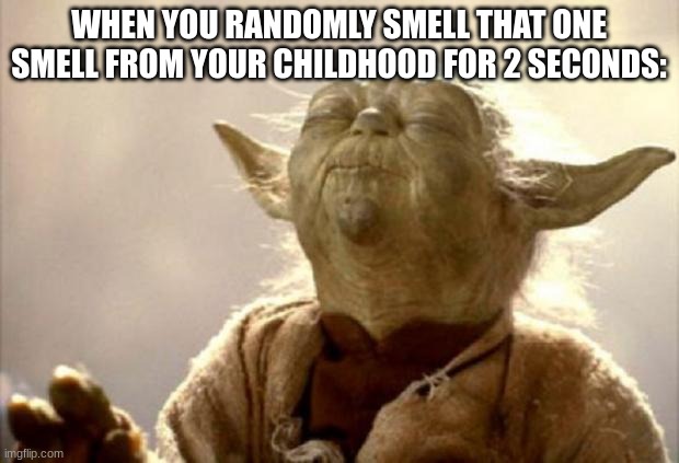 you never remember what its from too | WHEN YOU RANDOMLY SMELL THAT ONE SMELL FROM YOUR CHILDHOOD FOR 2 SECONDS: | image tagged in yoda smell,funny,childhood,nostalgia,stop reading the tags | made w/ Imgflip meme maker