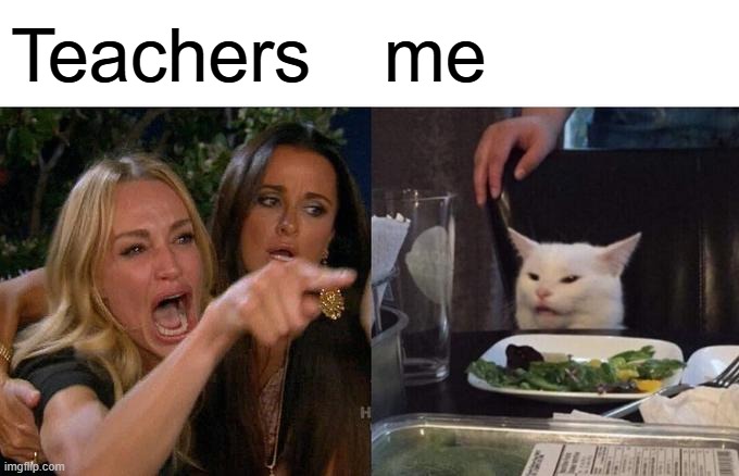 Woman Yelling At Cat | Teachers; me | image tagged in memes,woman yelling at cat | made w/ Imgflip meme maker