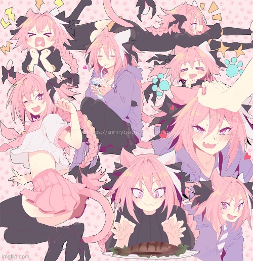 Cat Astolfo | image tagged in astolfo,femboy,catboy | made w/ Imgflip meme maker