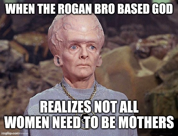 Big Brain | WHEN THE ROGAN BRO BASED GOD; REALIZES NOT ALL WOMEN NEED TO BE MOTHERS | image tagged in big brain | made w/ Imgflip meme maker