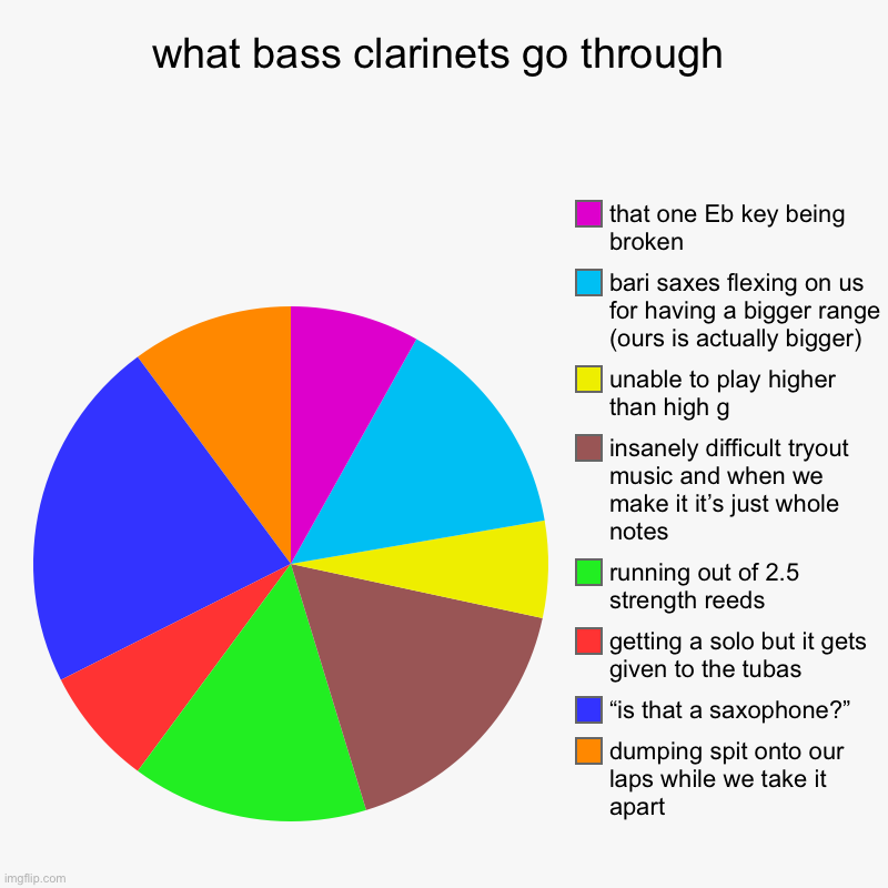 what i go through | what bass clarinets go through | dumping spit onto our laps while we take it apart, “is that a saxophone?”, getting a solo but it gets given | image tagged in charts,pie charts | made w/ Imgflip chart maker