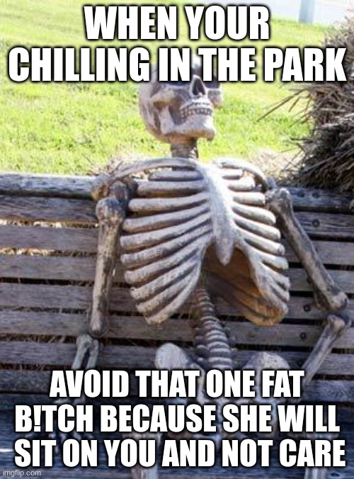 Waiting Skeleton | WHEN YOUR CHILLING IN THE PARK; AVOID THAT ONE FAT B!TCH BECAUSE SHE WILL  SIT ON YOU AND NOT CARE | image tagged in memes,waiting skeleton | made w/ Imgflip meme maker