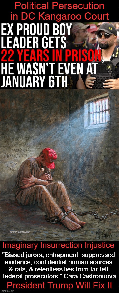 Should NEVER Have Happened in the United States of America! | Political Persecution 
in DC Kangaroo Court; Imaginary Insurrection Injustice; "Biased jurors, entrapment, suppressed 
evidence, confidential human sources 
& rats, & relentless lies from far-left 
federal prosecutors." Cara Castronuova; President Trump Will Fix It | image tagged in january 6,j6ers,injustice,dc kangaroo court,unprecedented sentence,third world | made w/ Imgflip meme maker