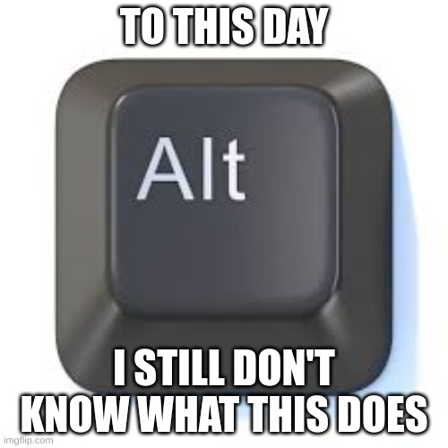 What | TO THIS DAY; I STILL DON'T KNOW WHAT THIS DOES | image tagged in funny,memes,true | made w/ Imgflip meme maker