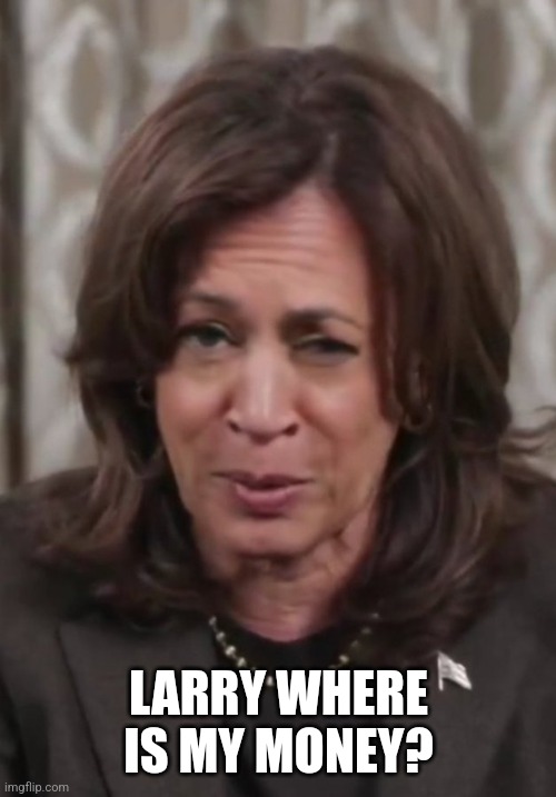 Drunk Kamala Harris | LARRY WHERE IS MY MONEY? | image tagged in drunk kamala harris | made w/ Imgflip meme maker