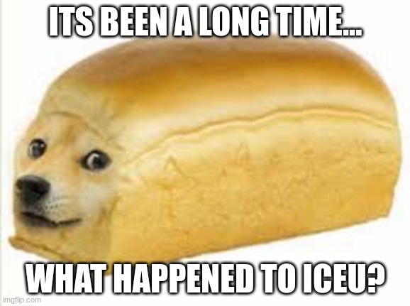 I haven't been on imgflip since march | ITS BEEN A LONG TIME... WHAT HAPPENED TO ICEU? | image tagged in doge bread | made w/ Imgflip meme maker