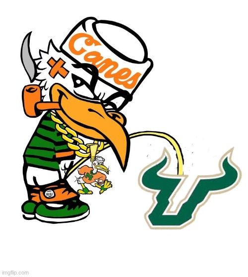 Miami vs USF meme | image tagged in memes,college football,miami,football,pee,bulls | made w/ Imgflip meme maker