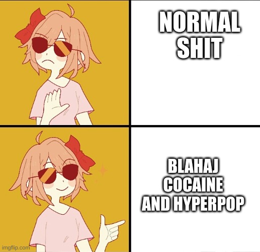 trans drake meme | NORMAL SHIT; BLAHAJ COCAINE AND HYPERPOP | image tagged in trans drake meme | made w/ Imgflip meme maker