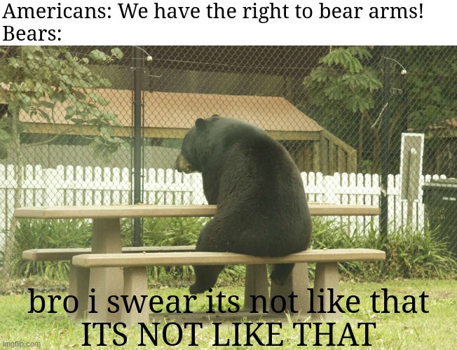 right to "bear arms" | Americans: We have the right to bear arms!
Bears:; bro i swear its not like that
ITS NOT LIKE THAT | image tagged in sad bear | made w/ Imgflip meme maker