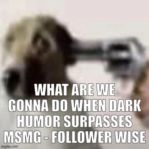 dog gunpoint | WHAT ARE WE GONNA DO WHEN DARK HUMOR SURPASSES MSMG - FOLLOWER WISE | image tagged in dog gunpoint | made w/ Imgflip meme maker