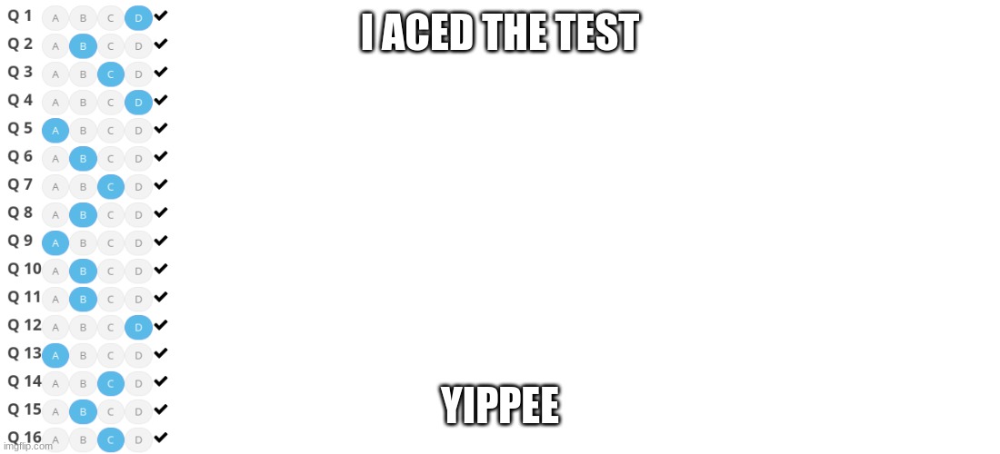 school test | I ACED THE TEST; YIPPEE | image tagged in school,test | made w/ Imgflip meme maker