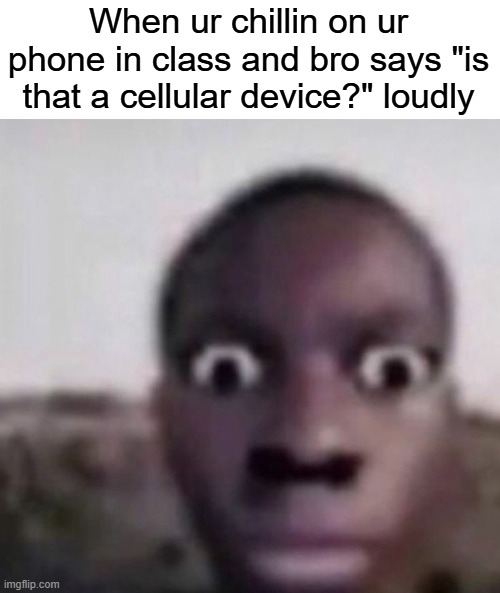 Cellular Device | When ur chillin on ur phone in class and bro says "is that a cellular device?" loudly | image tagged in bruh what | made w/ Imgflip meme maker