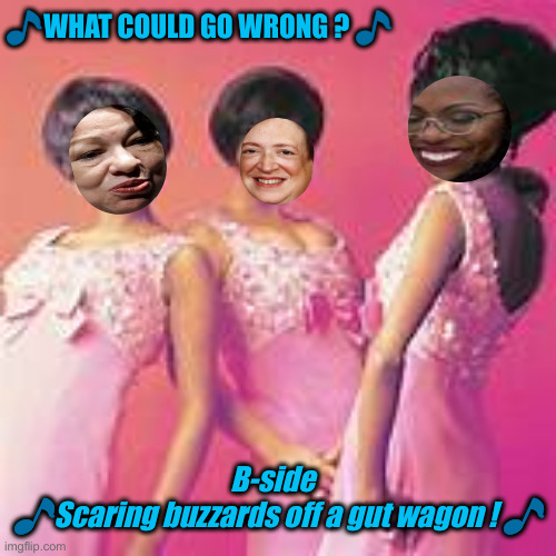 The Supreems ? | 🎵WHAT COULD GO WRONG ? 🎵; B-side  
🎵Scaring buzzards off a gut wagon ! 🎵 | image tagged in supremes,political meme,politics,funny memes,funny,scotus | made w/ Imgflip meme maker