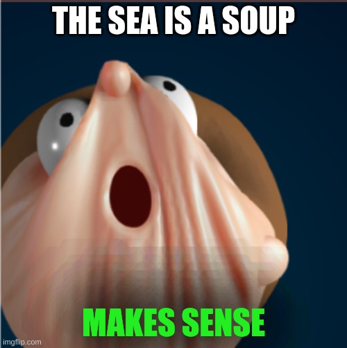 tru | THE SEA IS A SOUP; MAKES SENSE | image tagged in oh | made w/ Imgflip meme maker