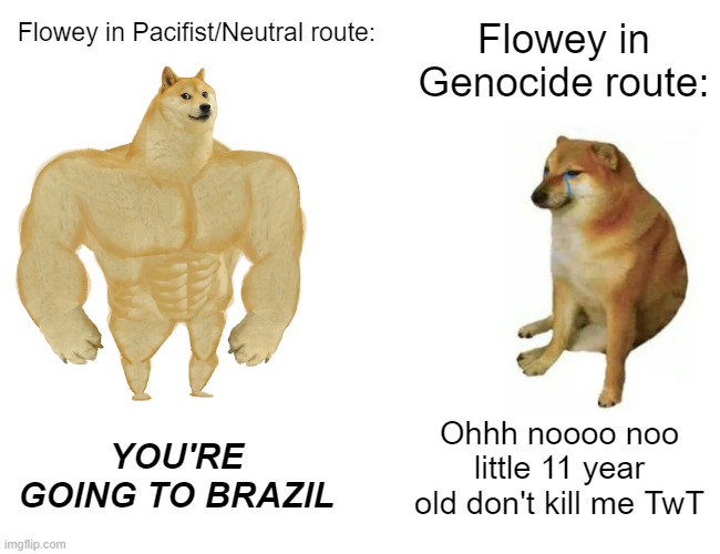 Pacifist/Neutral: Run, Frisk!! Genocide: Run, it's Frisk!! | Flowey in Genocide route:; Flowey in Pacifist/Neutral route:; Ohhh noooo noo little 11 year old don't kill me TwT; YOU'RE GOING TO BRAZIL | image tagged in memes,undertale,genocide,pacifist,flowey,frisk | made w/ Imgflip meme maker