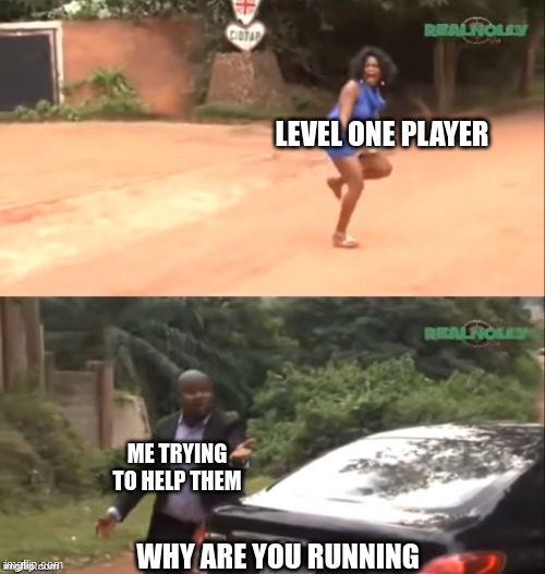 Why are you running | LEVEL ONE PLAYER; ME TRYING TO HELP THEM; WHY ARE YOU RUNNING | image tagged in why are you running | made w/ Imgflip meme maker