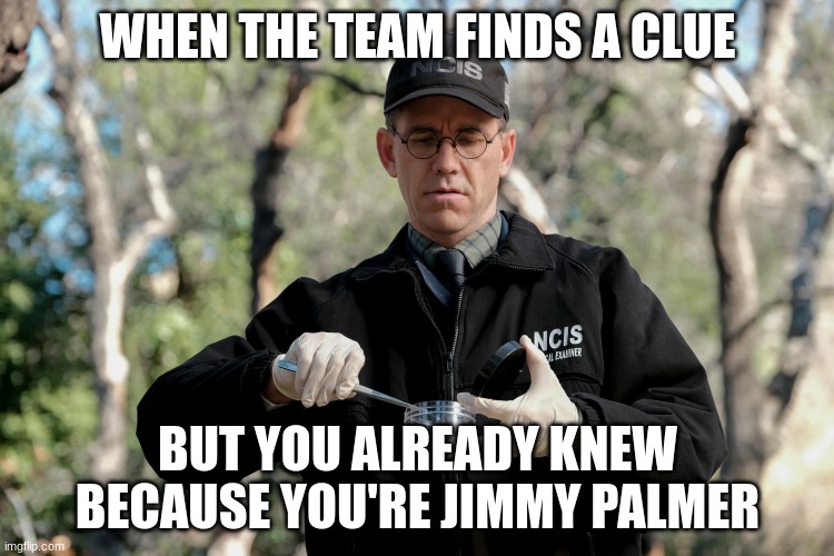 jimmy palmer | WHEN THE TEAM FINDS A CLUE; BUT YOU ALREADY KNEW BECAUSE YOU'RE JIMMY PALMER | image tagged in jimmy palmer | made w/ Imgflip meme maker