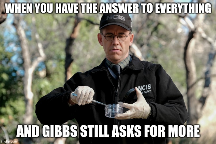 jimmy palmer | WHEN YOU HAVE THE ANSWER TO EVERYTHING; AND GIBBS STILL ASKS FOR MORE | image tagged in jimmy palmer | made w/ Imgflip meme maker