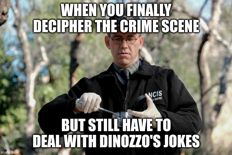 jimmy palmer | WHEN YOU FINALLY DECIPHER THE CRIME SCENE; BUT STILL HAVE TO DEAL WITH DINOZZO'S JOKES | image tagged in jimmy palmer | made w/ Imgflip meme maker