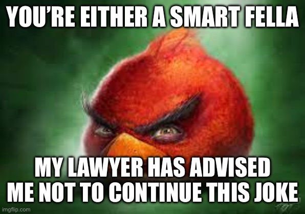 An actual meme that’s not from my camera roll (it sucks I know) | YOU’RE EITHER A SMART FELLA; MY LAWYER HAS ADVISED ME NOT TO CONTINUE THIS JOKE | image tagged in realistic red angry birds | made w/ Imgflip meme maker