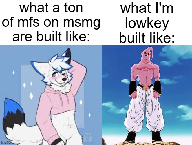 what a ton of mfs on msmg are built like:; what I'm lowkey built like: | image tagged in femboy furry | made w/ Imgflip meme maker