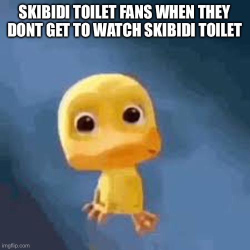 Crying duck | SKIBIDI TOILET FANS WHEN THEY DONT GET TO WATCH SKIBIDI TOILET | image tagged in crying duck | made w/ Imgflip meme maker