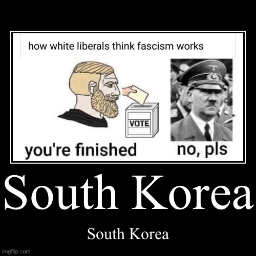 SOUTH KOREA MOMENT | South Korea | South Korea | image tagged in funny,demotivationals | made w/ Imgflip demotivational maker