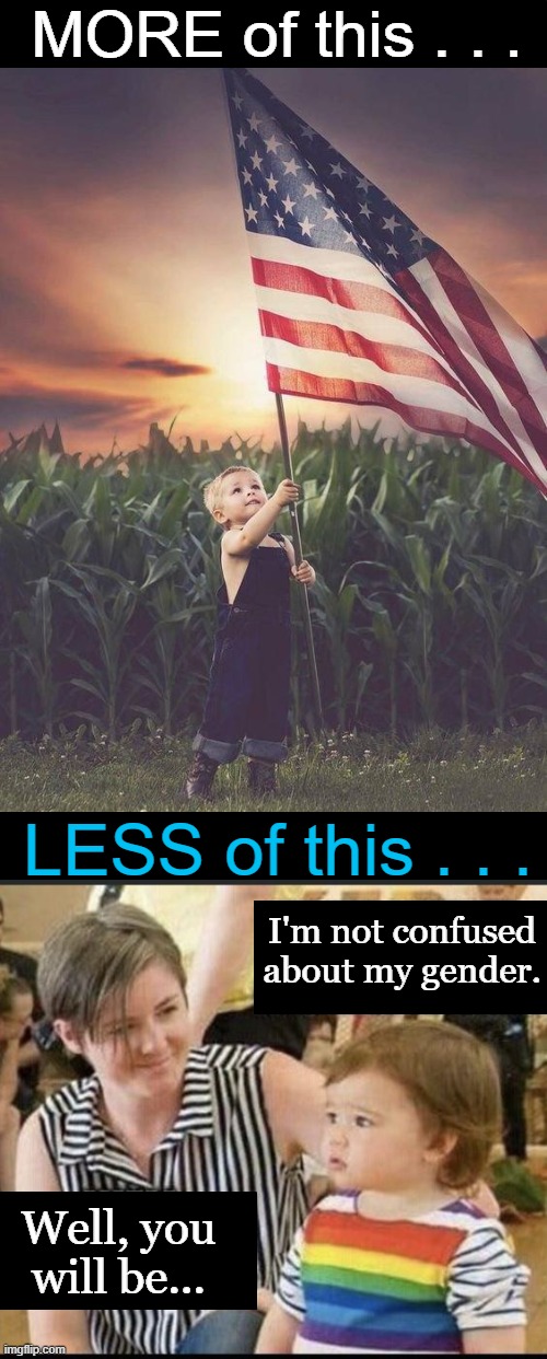 Teach Your Children Well | MORE of this . . . LESS of this . . . I'm not confused about my gender. Well, you will be... | image tagged in little patriot,patriotic son,confusion,gender confusion,family values,political humor | made w/ Imgflip meme maker