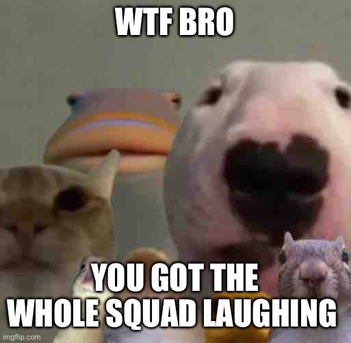 The council remastered | WTF BRO YOU GOT THE WHOLE SQUAD LAUGHING | image tagged in the council remastered | made w/ Imgflip meme maker